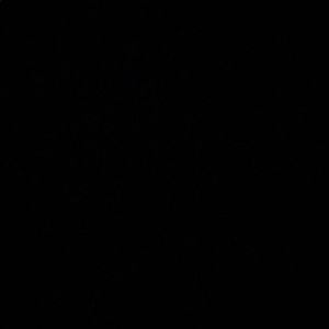 Meet your Posher, Amberlee